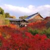 【京都紅葉情報】東福寺の紅葉・見頃やアクセス情報