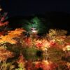 【京都紅葉情報】秋のライトアップ名所まとめ2020